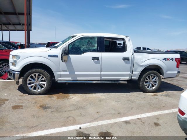 1FTEW1EP8GKE48873 Ford F-150 Xlt/xl/lariat