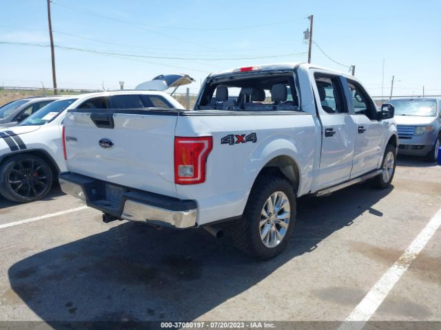 1FTEW1EP8GKE48873 Ford F-150 Xlt/xl/lariat