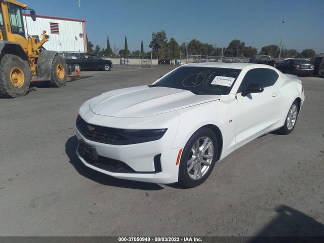 2019 1G1FB1RXXK0148484 main image