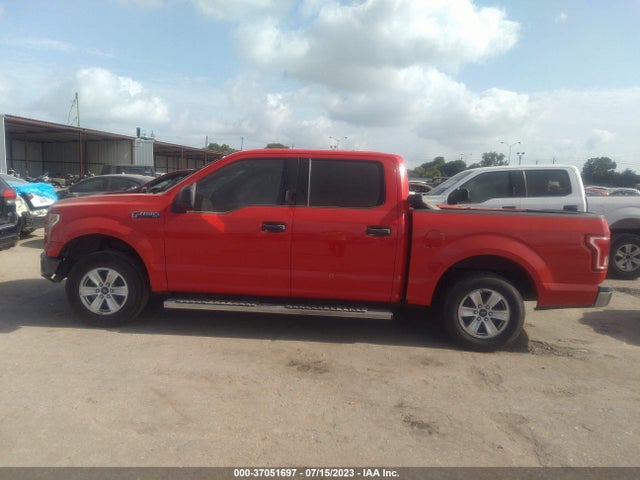 Ford F-150 Xlt/xl 2015 1FTEW1C84FKE14603 Image 14