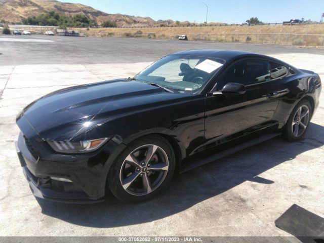 1FA6P8AM9F5401084 Ford Mustang V6