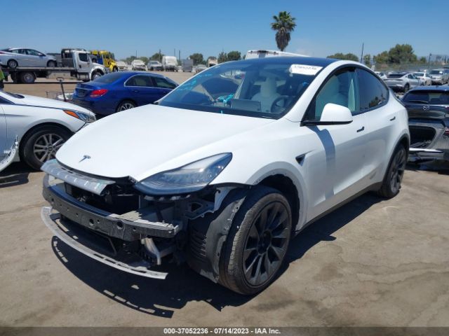5YJYGDEE8LF023669 Tesla Model Y Long Range