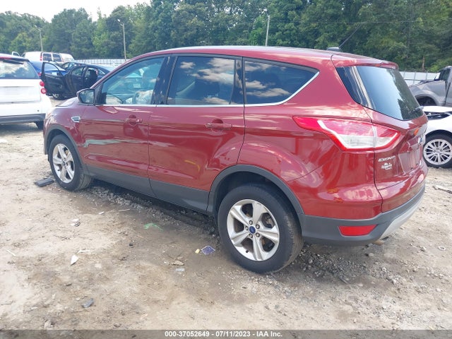 2014 FORD ESCAPE SE VIN: 1FMCU0GX5EUC97900