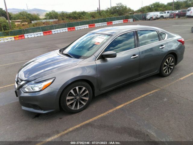 1N4AL3AP4HC167177 Nissan Altima 2.5 Sv