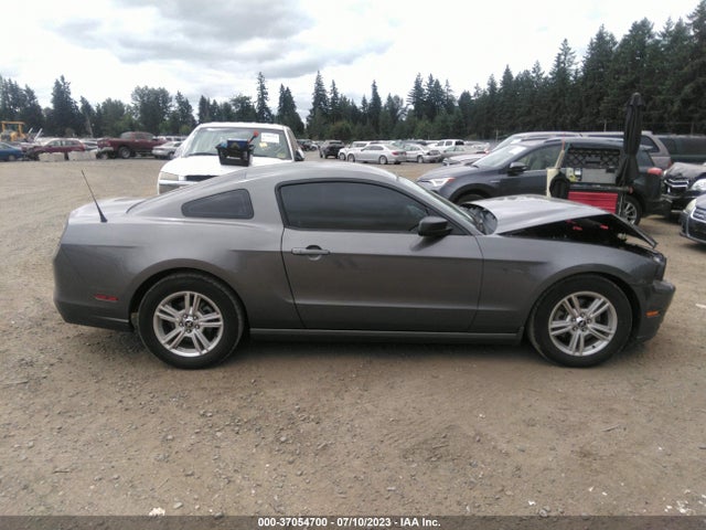 Ford Mustang V6 2014 1ZVBP8AM5E5259594 Image 6