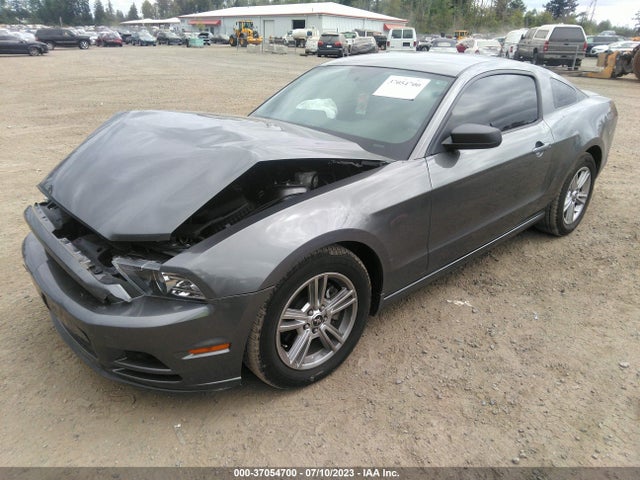 Ford Mustang V6 2014 1ZVBP8AM5E5259594 Image 2