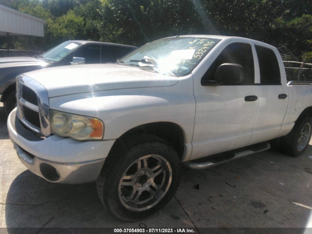 2004 DODGE RAM 1500 SLT VIN: 1D7HA18DX4S532496