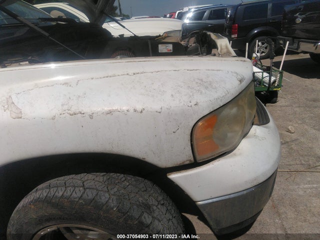 2004 DODGE RAM 1500 SLT VIN: 1D7HA18DX4S532496