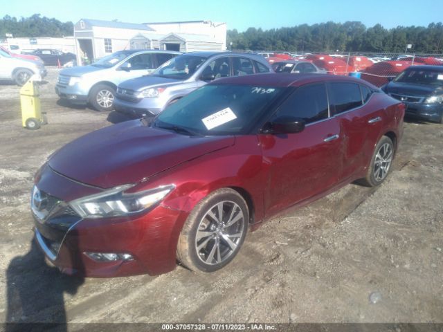 1N4AA6AP3HC367930 Nissan Maxima Sv/s/sl/sr/platinum