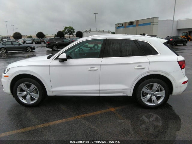 Audi Q5 Premium Plus 2019 WA1BNAFY0K2022319 Image 15