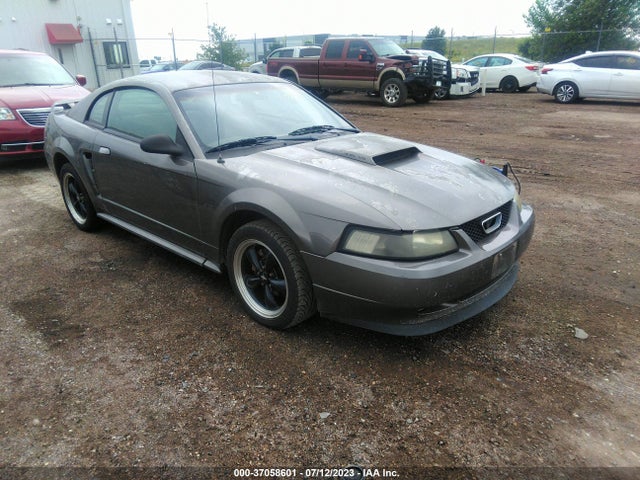 2002 FORD MUSTANG GT VIN: 1FAFP42X42F166115