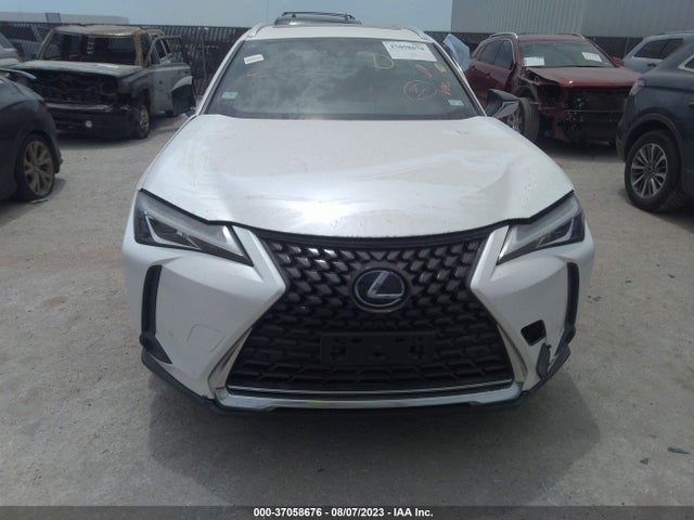 2019 Lexus UX, VIN: JTHU9JBH6K2009145