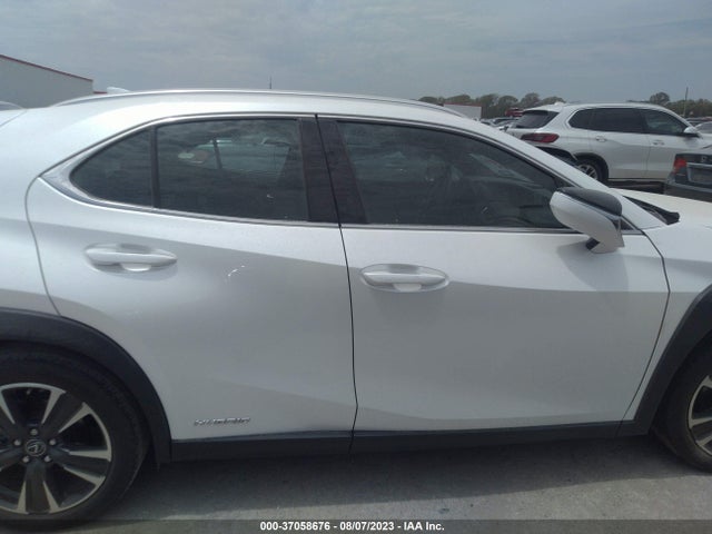 2019 Lexus UX, VIN: JTHU9JBH6K2009145