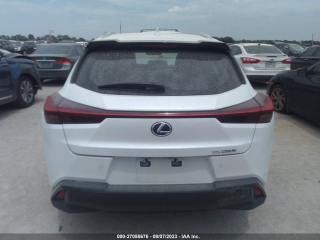 2019 Lexus UX, VIN: JTHU9JBH6K2009145