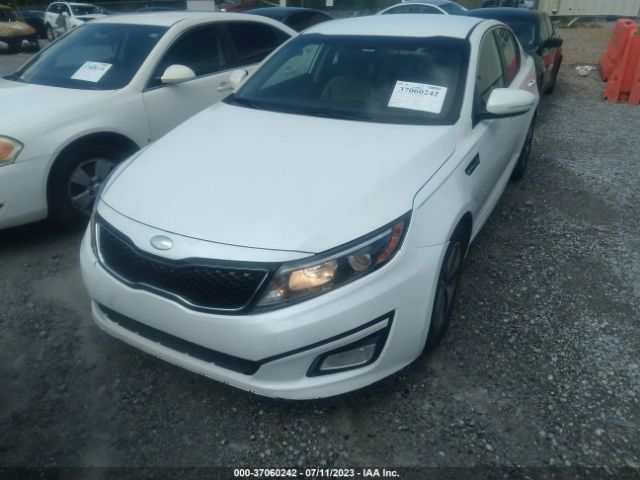 KNAGM4A76E5465072 KIA Optima Lx