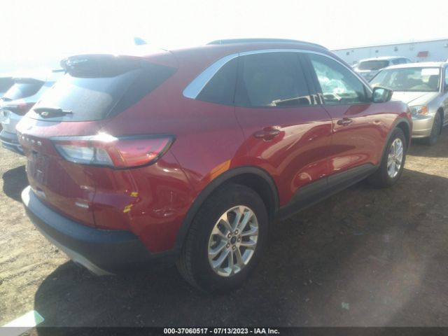 1FMCU9BZ3MUB04848 Ford Escape Se Hybrid