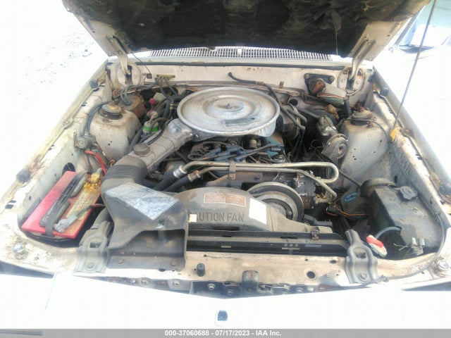 1981 MERCURY COUGAR XR7 VIN: 1MEBP90D1BH607846