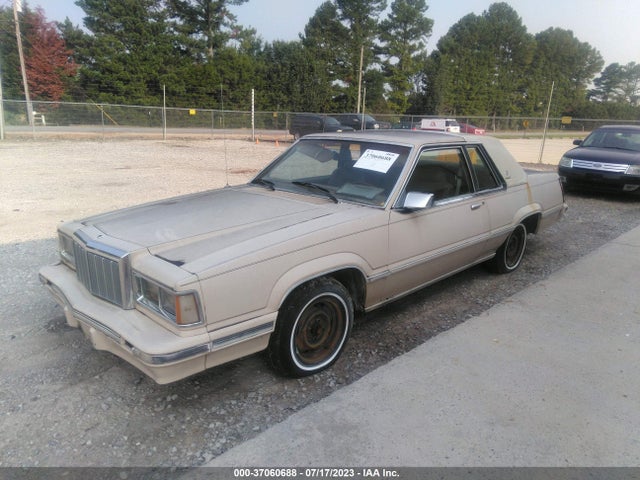 1981 MERCURY COUGAR XR7 VIN: 1MEBP90D1BH607846