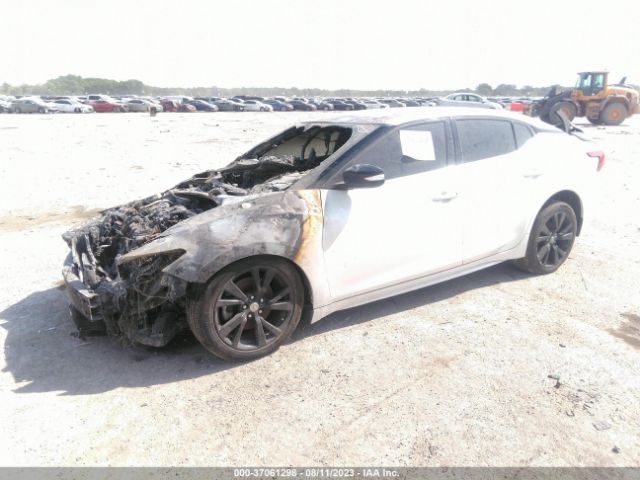 1N4AA6AP3HC449351 Nissan MAXIMA SL