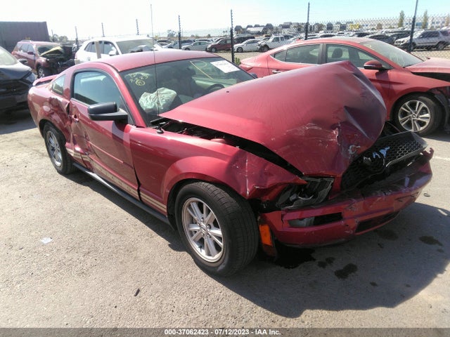 2005 FORD MUSTANG DELUXE/PREMIUM VIN: 1ZVFT80N355138974