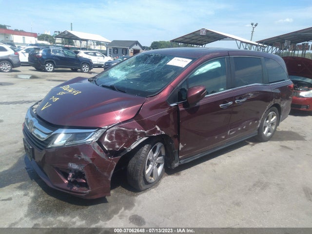 Honda Odyssey Ex-l 2019 5FNRL6H7XKB116376 Image 2