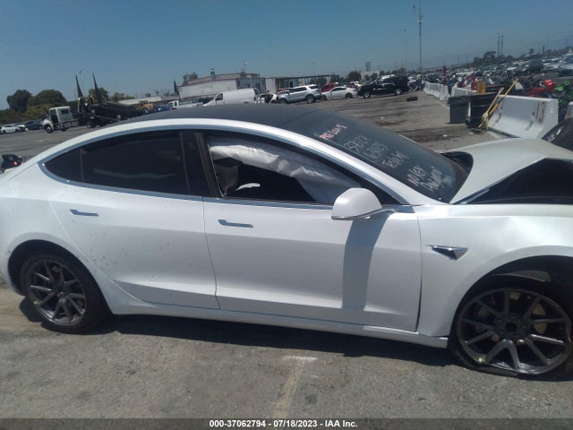 Tesla Model 3 Range 2019 5YJ3E1EAXKF425266 Image 3