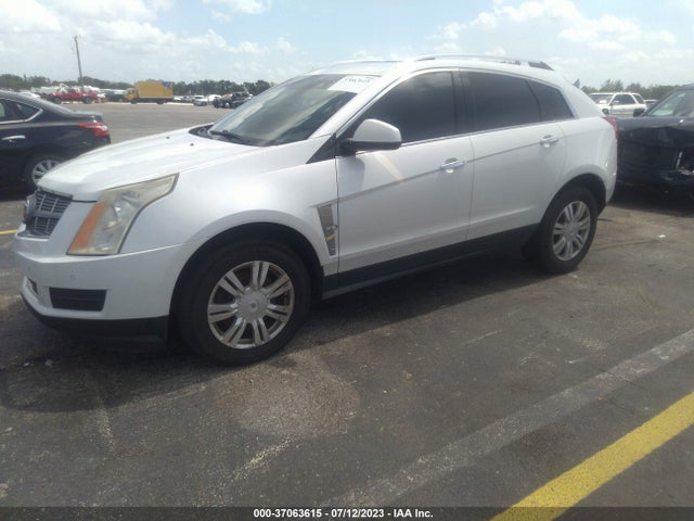 2010 CADILLAC SRX LUXURY COLLECTION VIN: 3GYFNAEY3AS591493