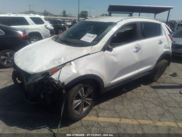 KNDPC3A66E7661623 KIA Sportage Sx