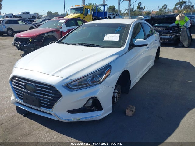 Hyundai SONATA SE 2019 5NPE24AF0KH735934 Image 2