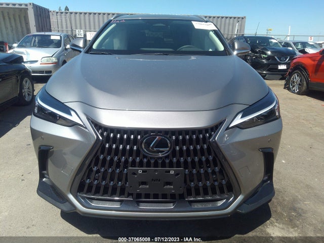 2023 Lexus NX, VIN: 2T2GGCEZ4PC030391