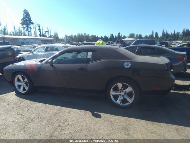2013 DODGE CHALLENGER R/T VIN: 2C3CDYBT9DH535843