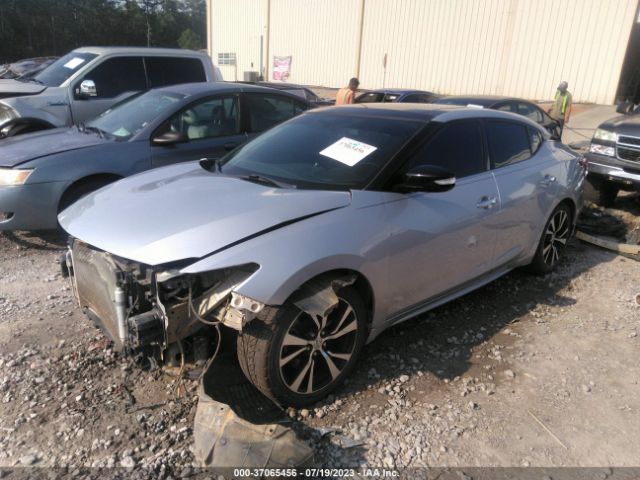 1N4AA6AP7HC452401 Nissan MAXIMA SL