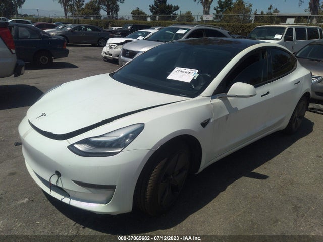 Tesla Model 3 Range 2019 5YJ3E1EA5KF324071 Image 2