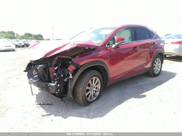 2019 Lexus NX, VIN: JTJBARBZ5K2194552