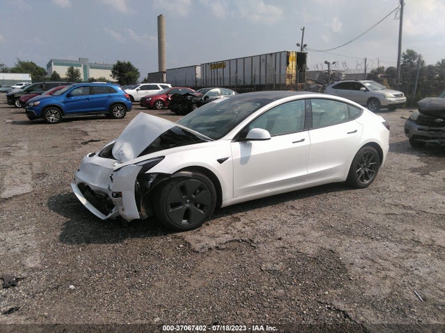 Tesla MODEL 3 2023 5YJ3E1EA2PF563200 Image 2