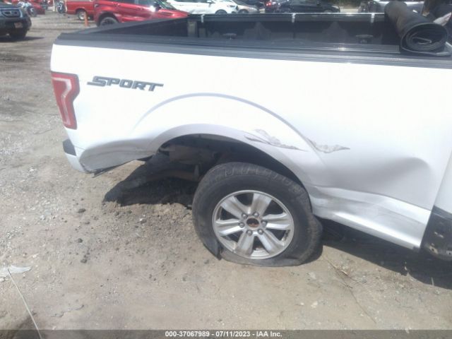 1FTEX1C86GFA07230 Ford F-150 Xl/xlt