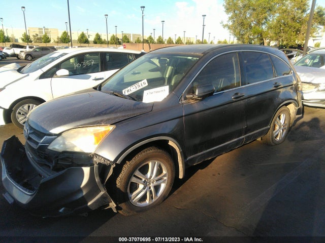 2010 HONDA CR-V EX-L VIN: JHLRE3H72AC003982