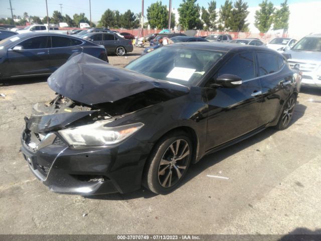 1N4AA6APXHC429212 Nissan MAXIMA SL