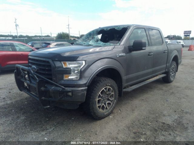 1FTEW1EF6GKF83731 Ford F-150 Xlt