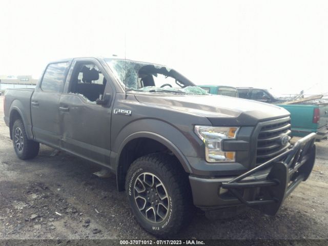 1FTEW1EF6GKF83731 Ford F-150 Xlt