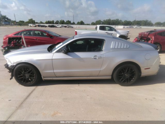 1ZVBP8AM1E5230884 Ford Mustang V6