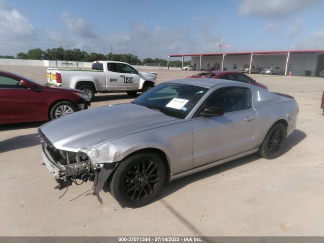 1ZVBP8AM1E5230884 Ford Mustang V6