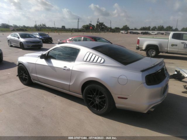 1ZVBP8AM1E5230884 Ford Mustang V6