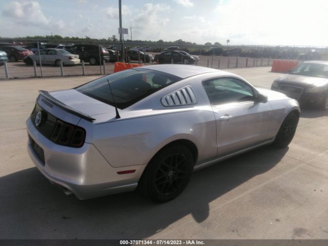 1ZVBP8AM1E5230884 Ford Mustang V6