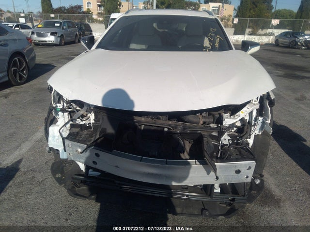 2019 Lexus UX, VIN: JTHU9JBH4K2015879