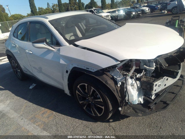 2019 Lexus UX, VIN: JTHU9JBH4K2015879