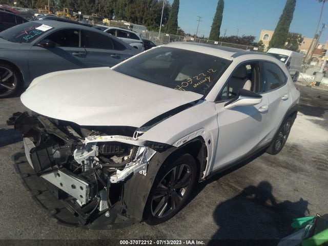 2019 Lexus UX, VIN: JTHU9JBH4K2015879