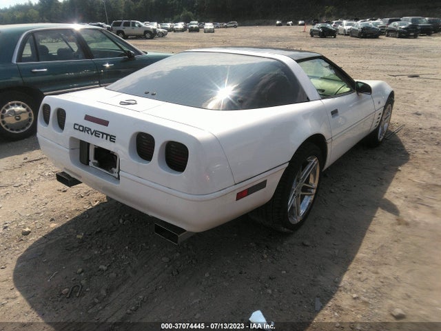 1993 CHEVROLET CORVETTE VIN: 1G1YY23PXP5120233