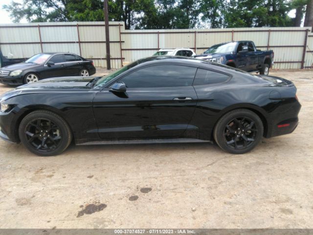 1FA6P8AM0F5400776 Ford Mustang V6