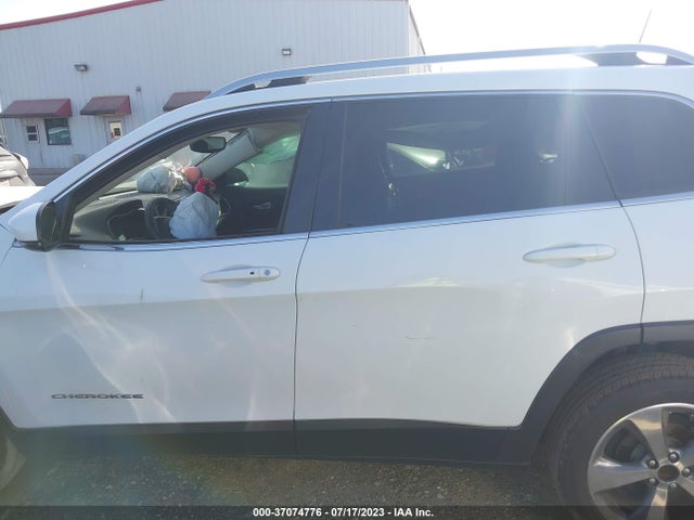2019 JEEP CHEROKEE LIMITED VIN: 1C4PJLDB0KD347803